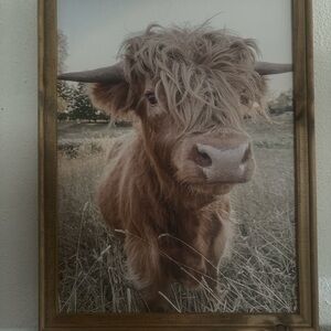 Highland Cow Framed Wall Art